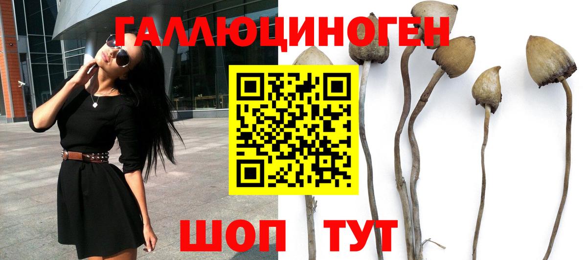 Галлюциногенные грибы GOLDEN TEACHER Семёнов